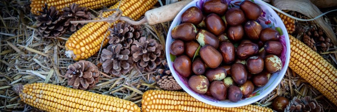 Rustic autumn scene featuring corn, pine cones, and jujubes on straw.